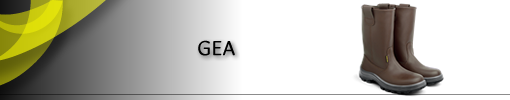 GEA